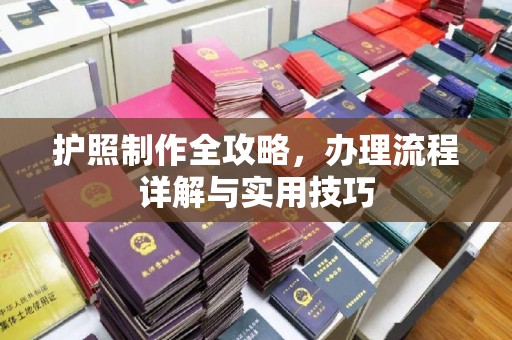 明山护照制作全攻略，办理流程详解与实用技巧