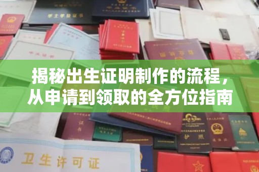 明山揭秘出生证明制作的流程，从申请到领取的全方位指南