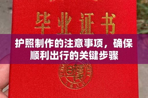 明山护照制作的注意事项，确保顺利出行的关键步骤